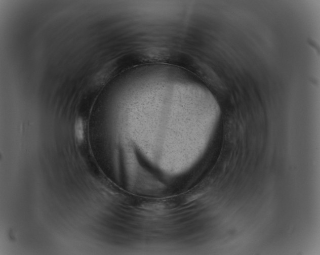 X0000095690075200801221256