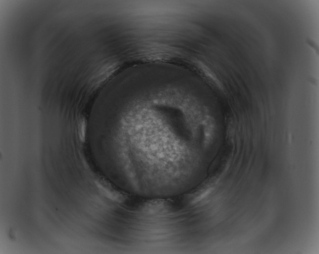 X0000095690076200801221256