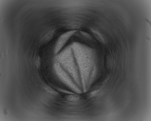 X0000095690077200801221256