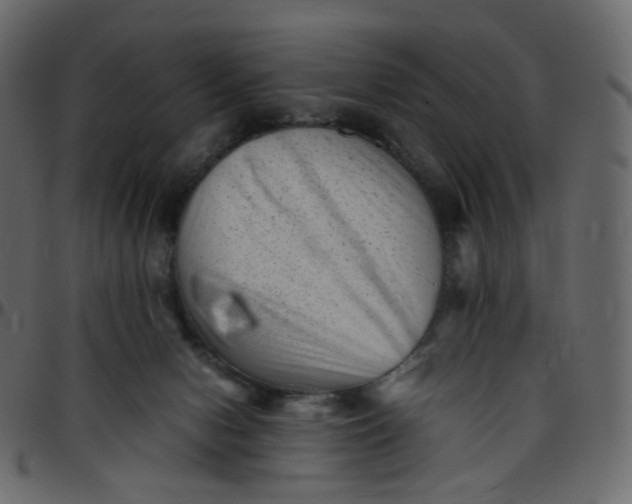 X0000095690078200801221256