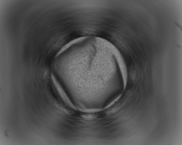 X0000095690079200801221256