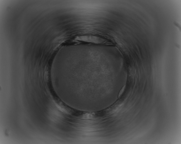 X0000095690080200801221256