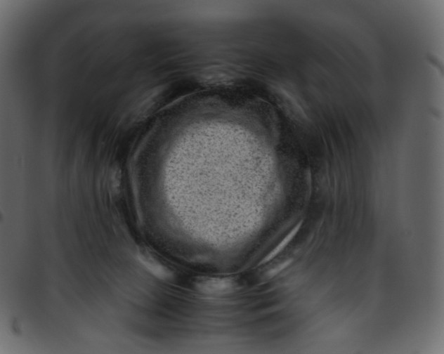 X0000095690081200801221256