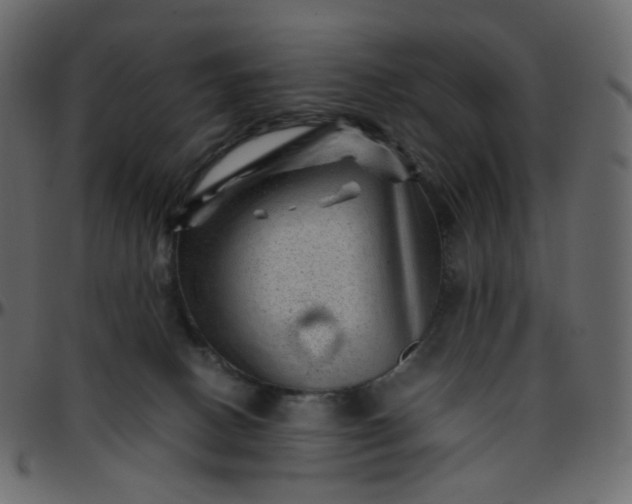 X0000095690082200801221256