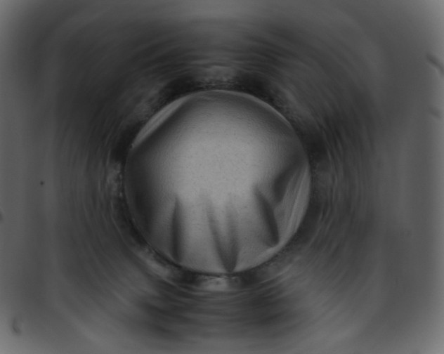 X0000095690083200801221256