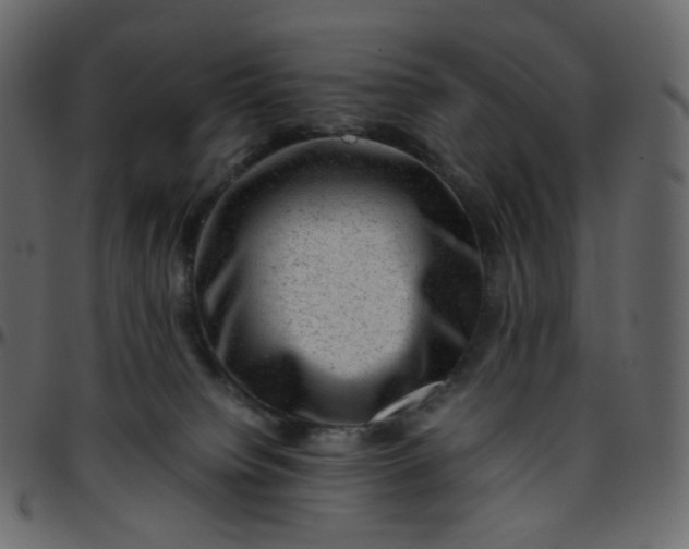 X0000095690084200801221256