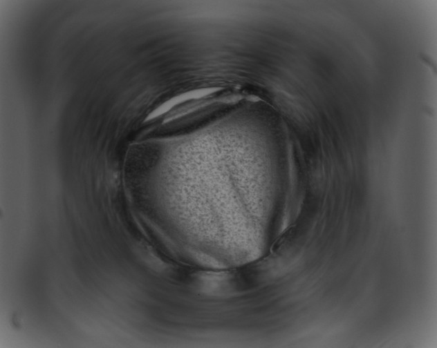 X0000095690085200801221256