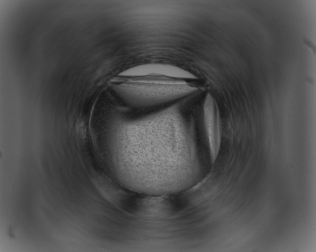 X0000095690086200801221256