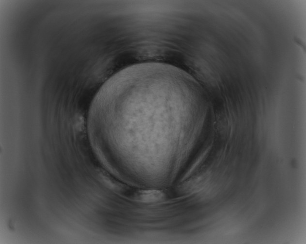 X0000095690087200801221256