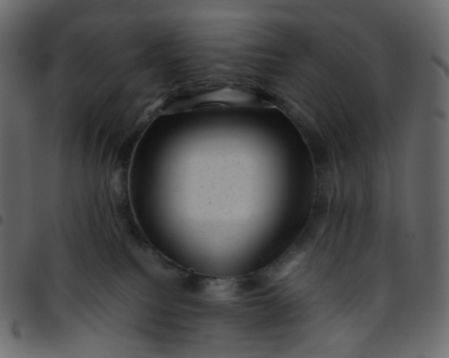 X0000095690088200801221256