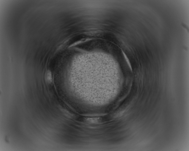 X0000095690089200801221256