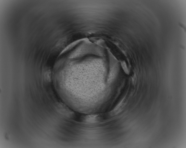 X0000095690090200801221256