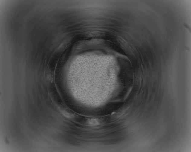 X0000095690091200801221256