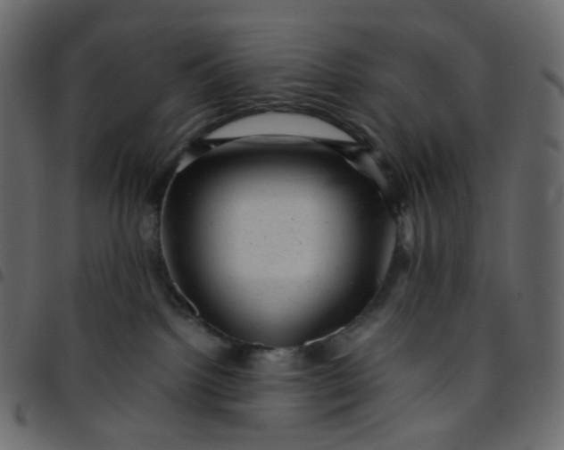 X0000095690092200801221256