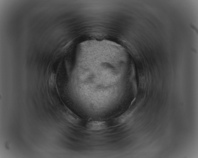 X0000095690093200801221256