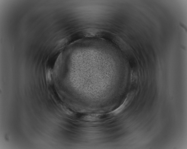 X0000095690094200801221256