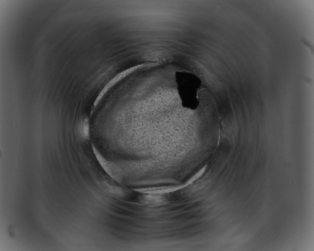 X0000095690095200801221256