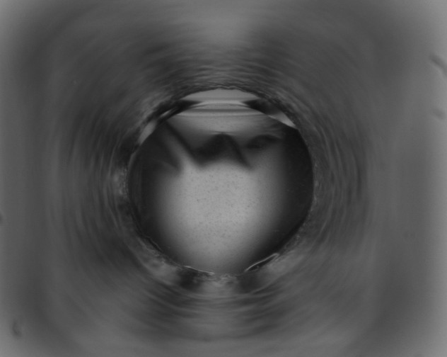 X0000095690096200801221256