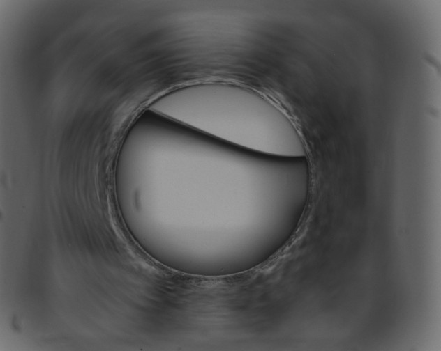 X0000095690097200801221256