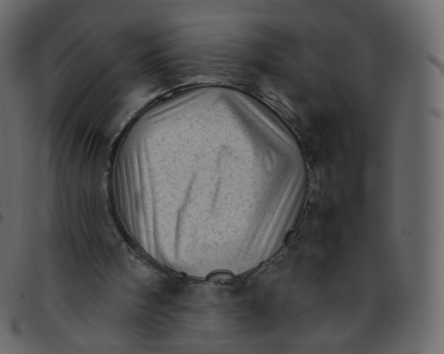 X0000095690098200801221256