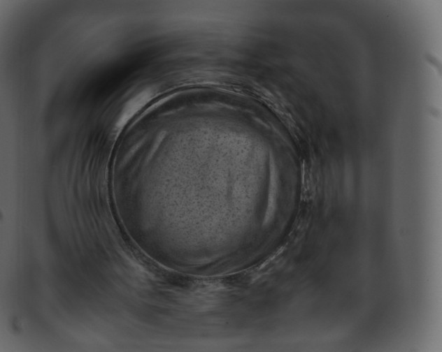 X0000095690099200801221256