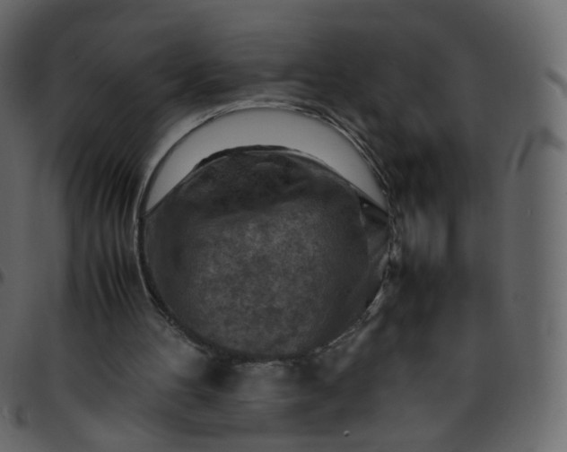 X0000095690100200801221256