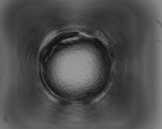 X0000095690101200801221256