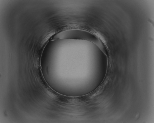 X0000095690105200801221256