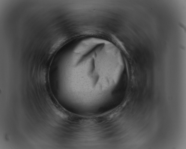 X0000095690106200801221256