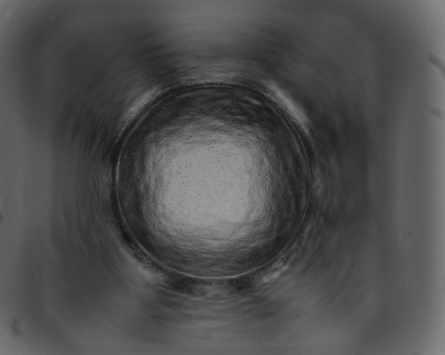 X0000095690107200801221256