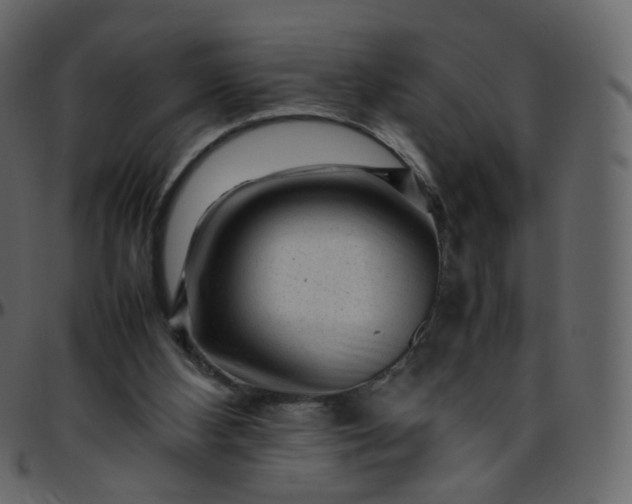 X0000095690108200801221256