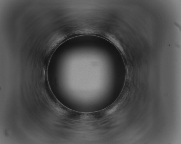 X0000095690109200801221256