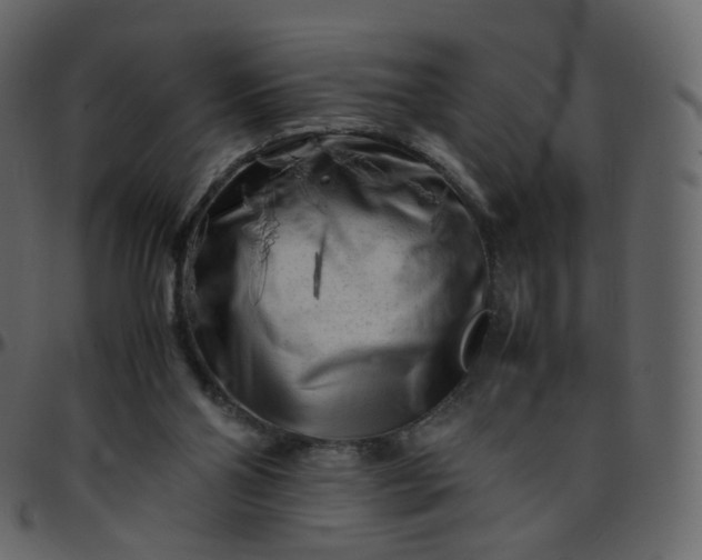 X0000095690110200801221256