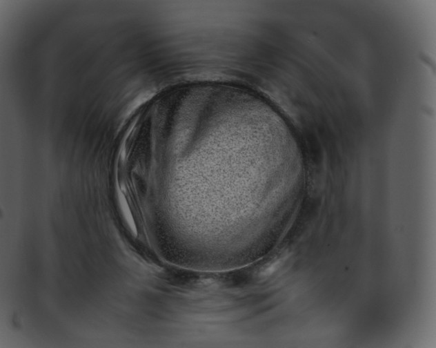 X0000095690111200801221256