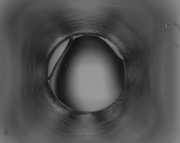 X0000095690112200801221256