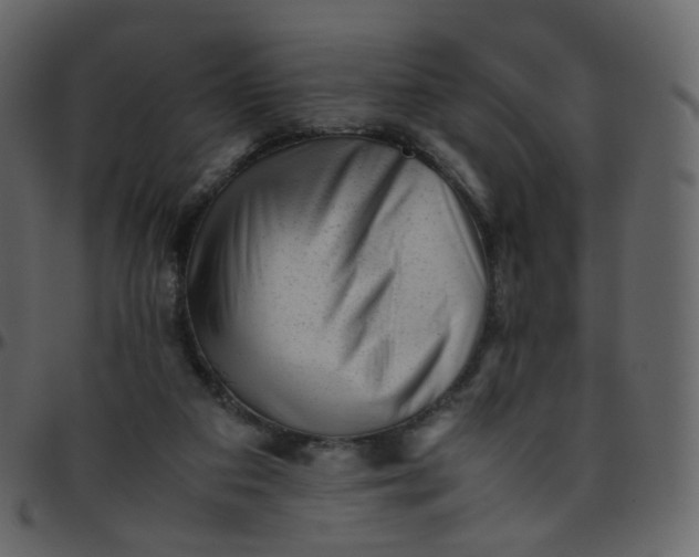 X0000095690113200801221256