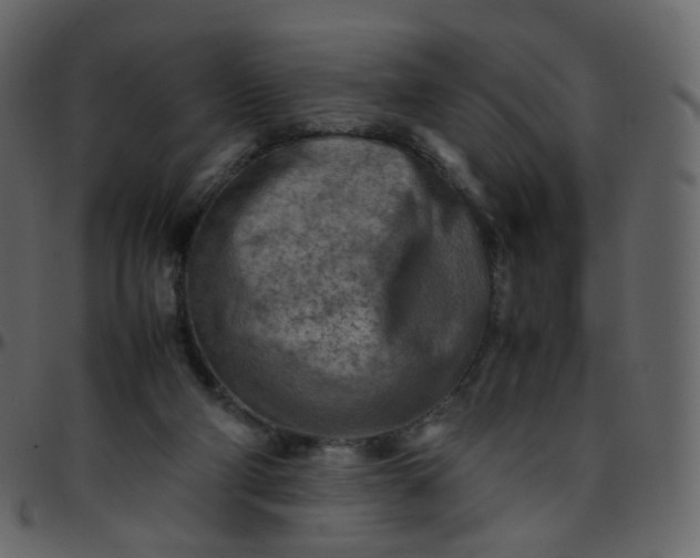 X0000095690114200801221256