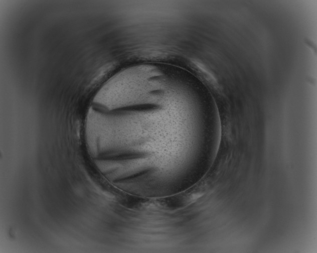 X0000095690115200801221256