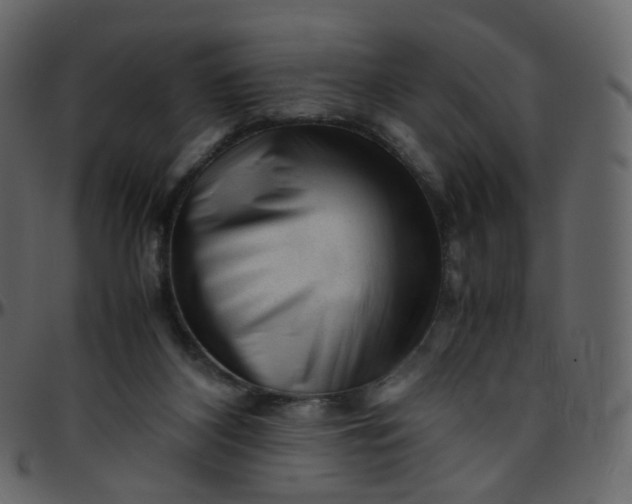 X0000095690116200801221256