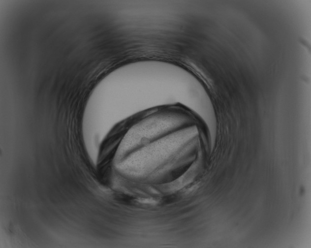 X0000095690117200801221256