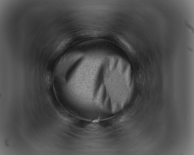 X0000095690119200801221256