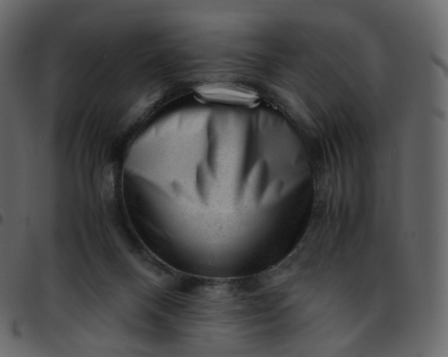 X0000095690120200801221256