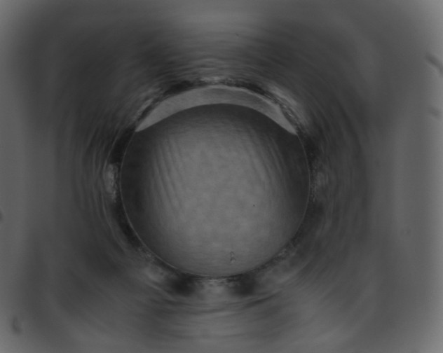 X0000095690121200801221256