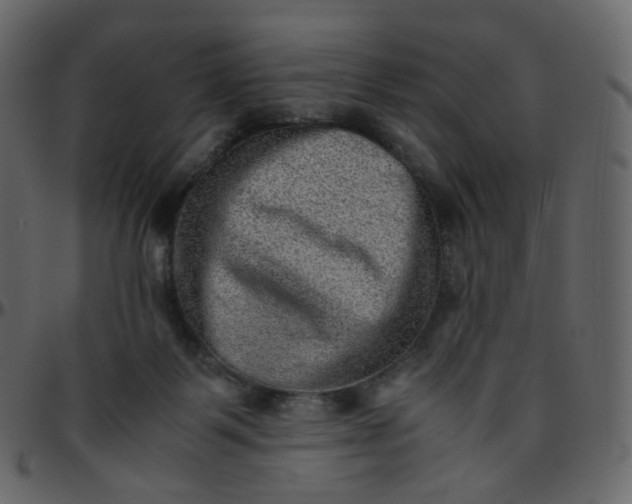 X0000095690123200801221255