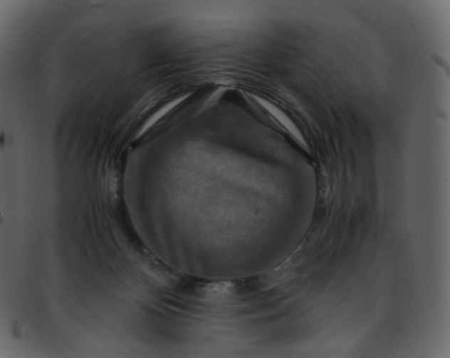 X0000095690124200801221255