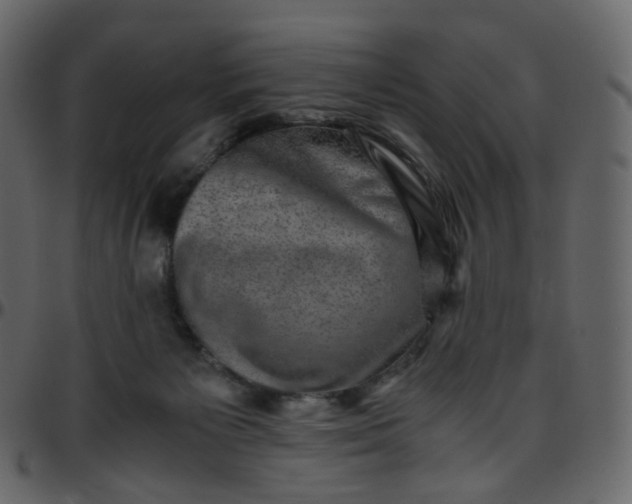 X0000095690125200801221255