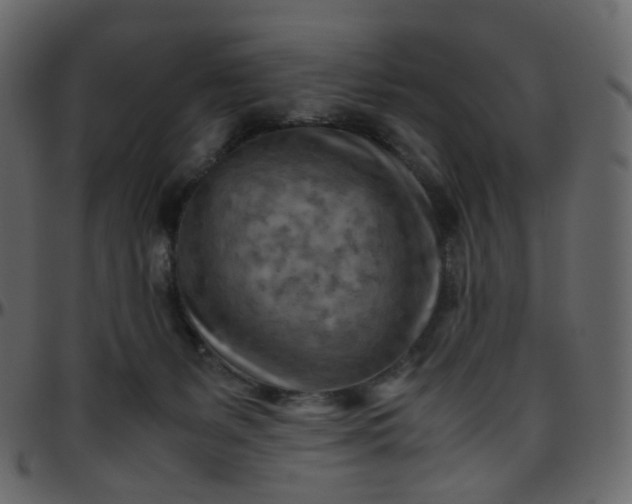 X0000095690127200801221255