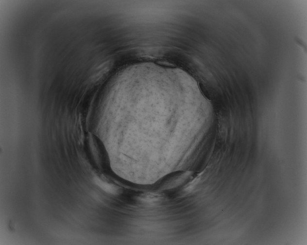 X0000095690128200801221255