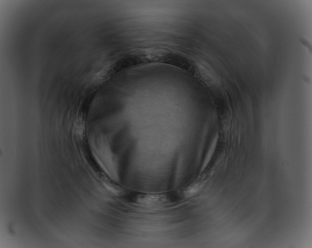 X0000095690129200801221255