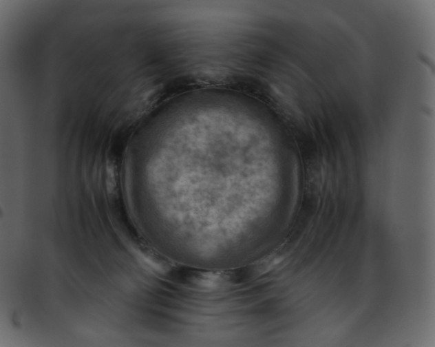 X0000095690130200801221255